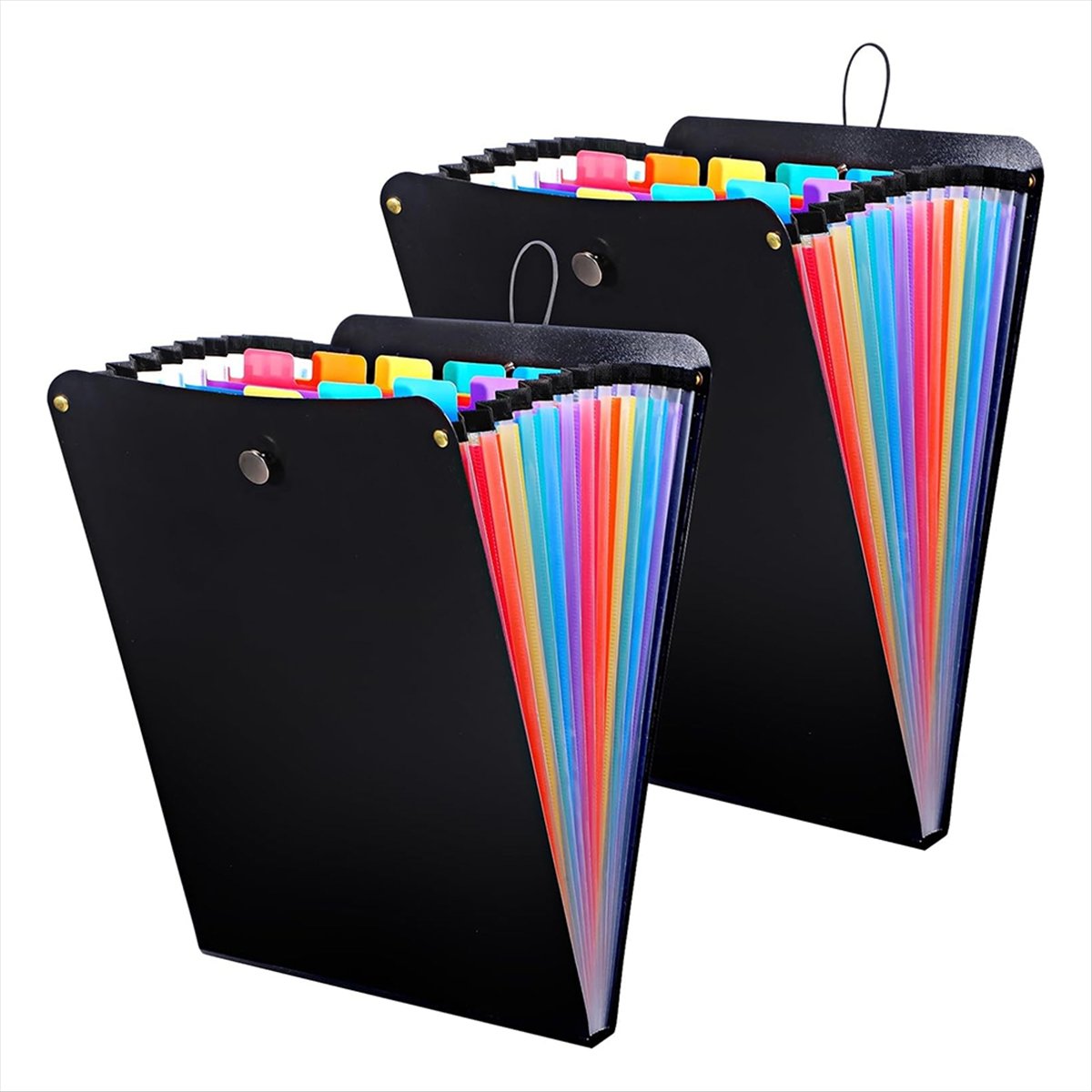 ABPP 2 Pastas Expansíveis, Org - Expandable Accordion File Folder 13 Pockets avaliação e preço